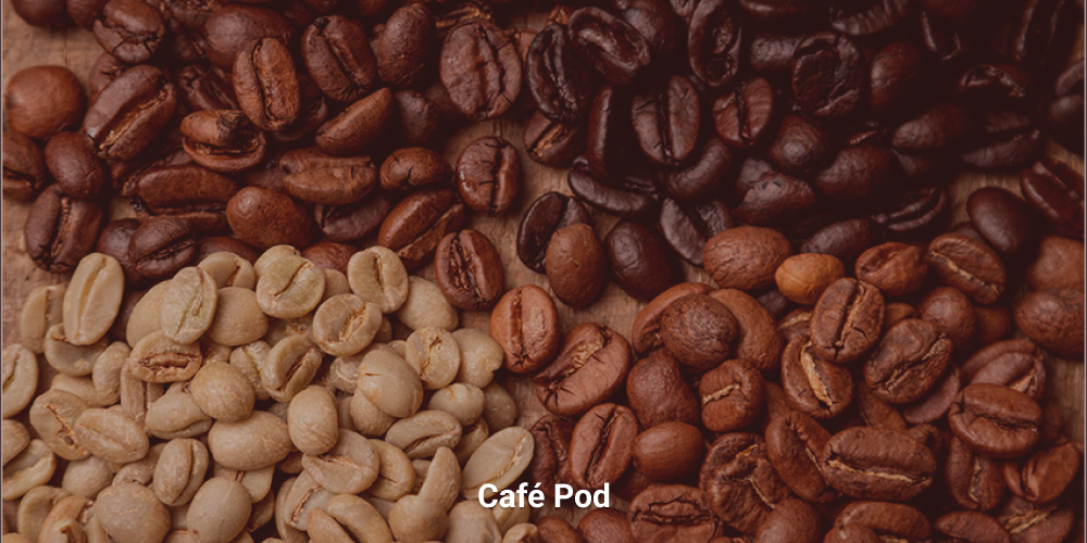 Descobrindo as Variedades de Café: Arábica, Robusta e Muito Mais | Fino ...