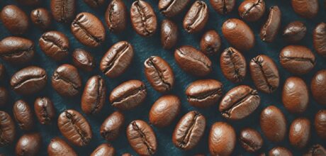 Explorando os Tipos de Grãos de Café e Suas Características Distintivas