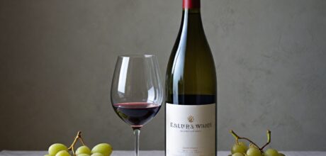 Vinhos Naturais: O que são, Benefícios para a Saúde e Onde Encontrar