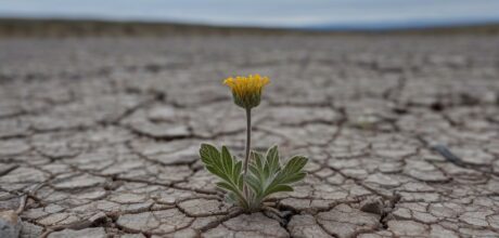 Variedades em Risco de Extinção: O Que Você Precisa Saber